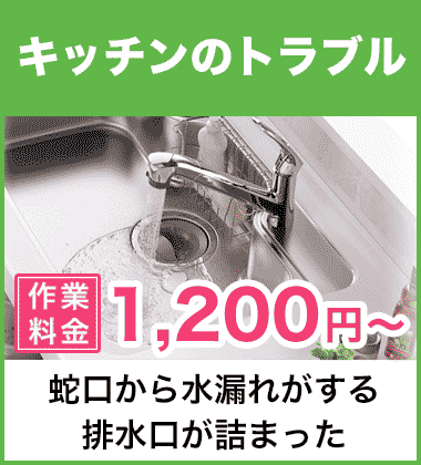 キッチン（台所）の蛇口の水漏れ修理 阪南市
